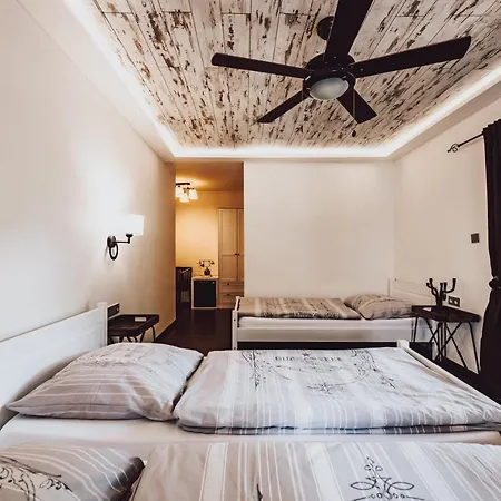 Mlyn Cernovice * Cernovice (Vysocina)