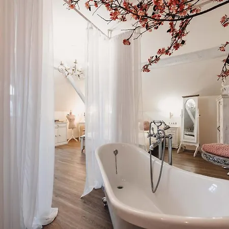 Mlyn Cernovice Hotel *