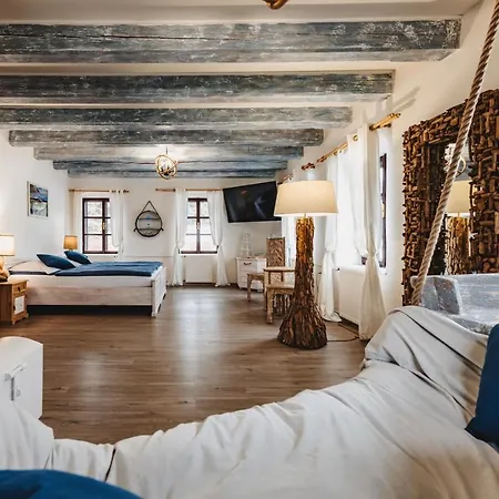 Hotel Mlýn černovice Cernovice (Vysocina)