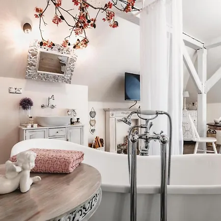 Otel Mlyn Cernovice *