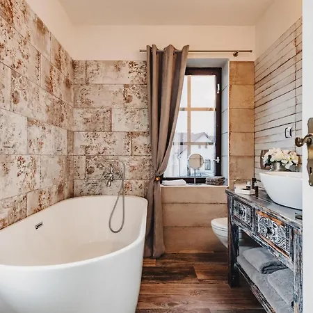 Mlyn Cernovice Otel *