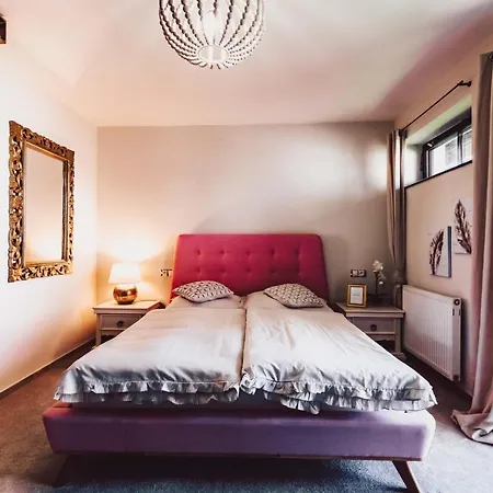 Otel Mlyn Cernovice *