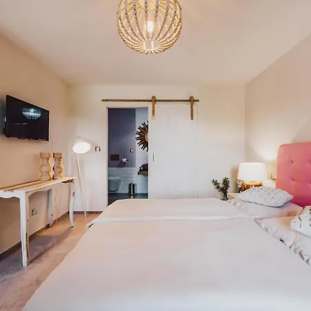 Mlyn Cernovice Otel *