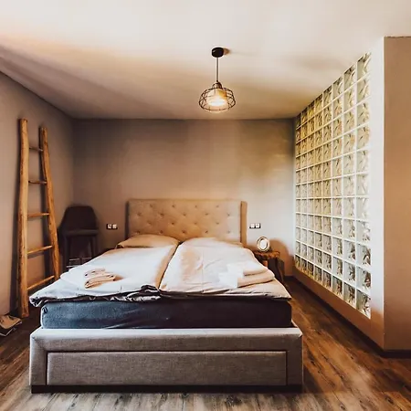 Hotel Mlyn Cernovice Cernovice (Vysocina)
