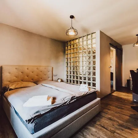 Hotel Mlyn Cernovice Cernovice (Vysocina)