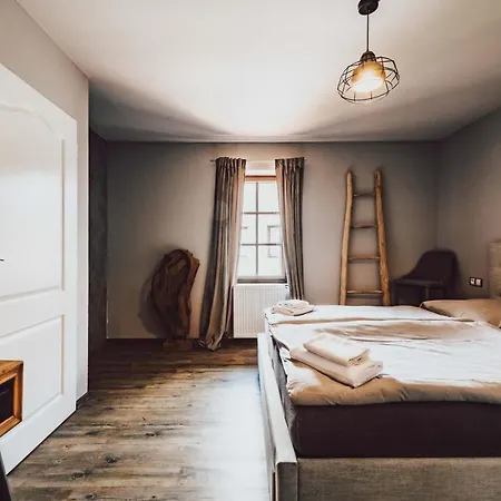 Hotel Mlyn Cernovice *