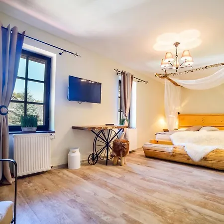 Mlyn Cernovice Cernovice (Vysocina)