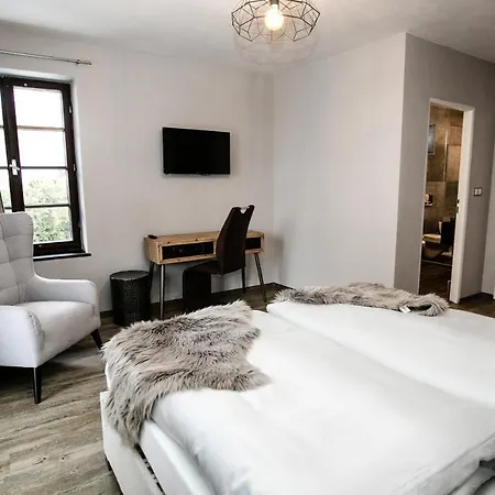 Hotel Mlyn Cernovice *