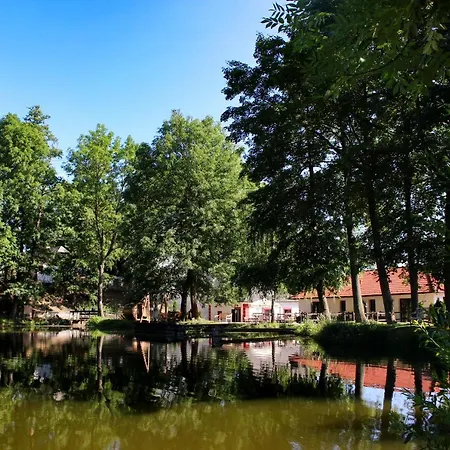 호텔 Mlyn Cernovice Cernovice (Vysocina)