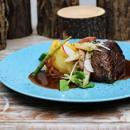 Mlyn Cernovice Otel *