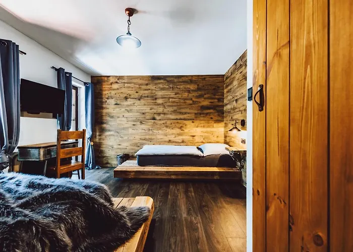 Hotel Mlyn Cernovice *