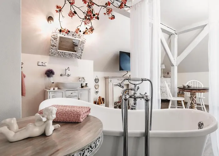 Hotel Mlyn Cernovice *