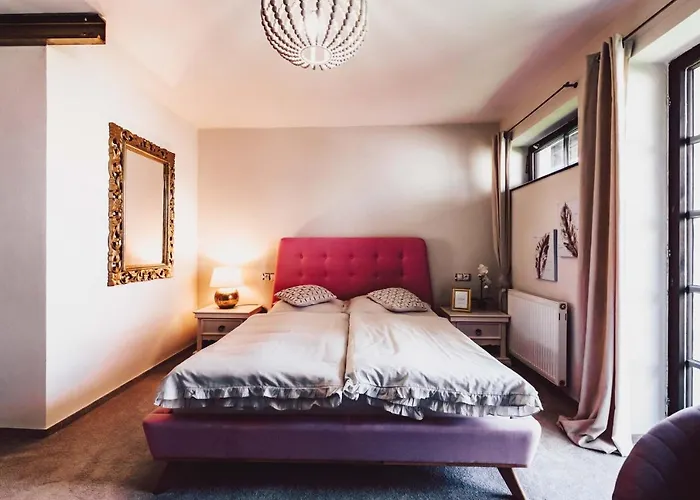 Hotel Mlyn Cernovice *