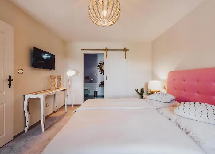 Mlyn Cernovice Hotel *