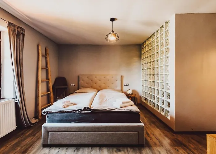 Hotel Mlyn Cernovice Cernovice (Vysocina)