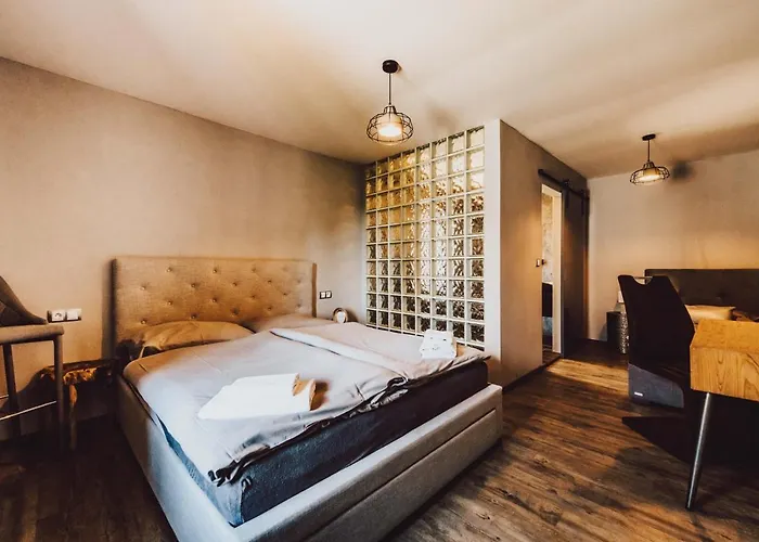 Hotel Mlyn Cernovice Cernovice (Vysocina)