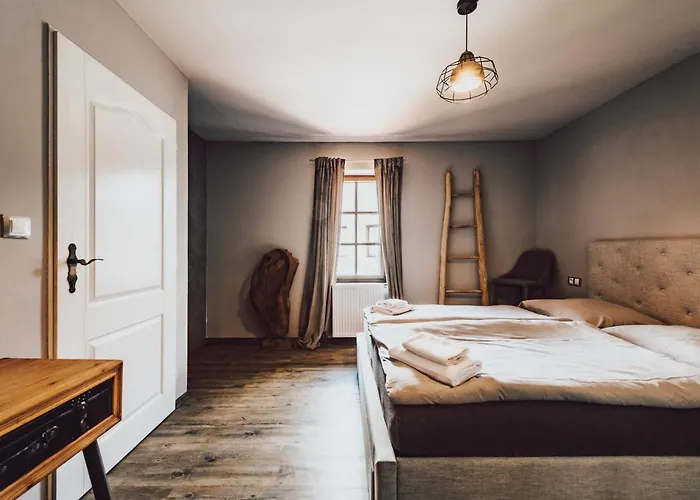 Hotel Mlyn Cernovice *