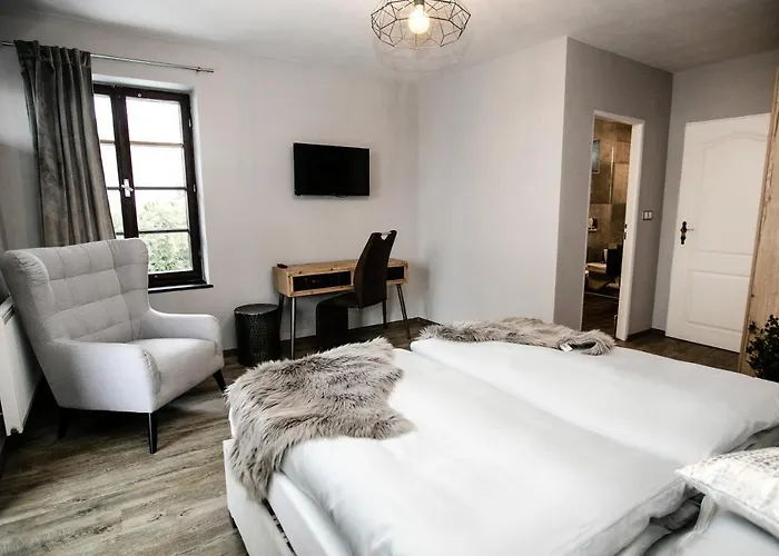 Hotel Mlyn Cernovice *