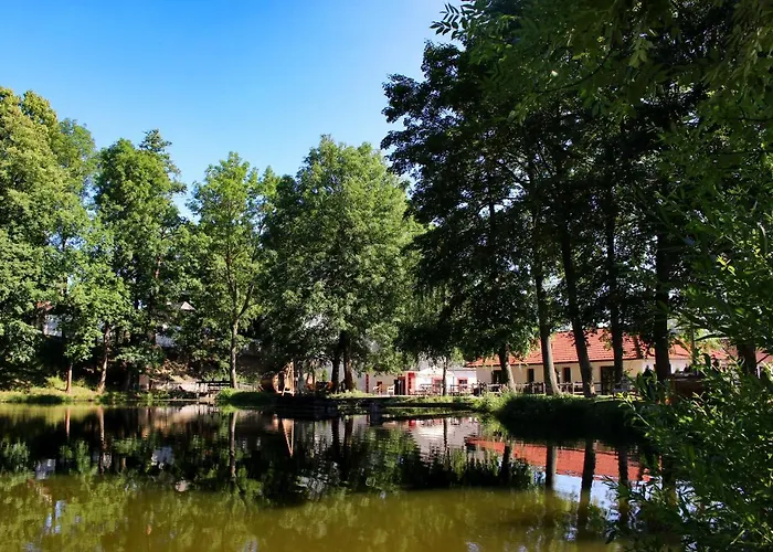 Hotel Mlyn Cernovice Cernovice (Vysocina)